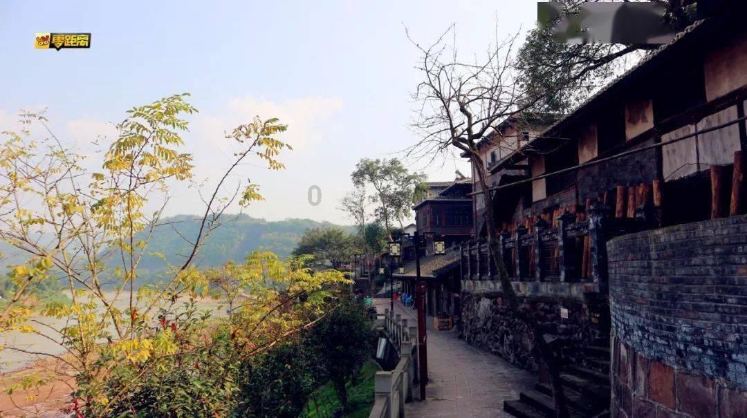 聪明机智,尽在